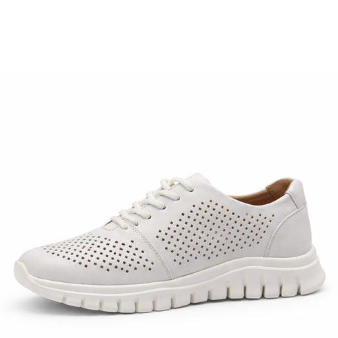 PASS COLLECTION Sneakers HD80004C