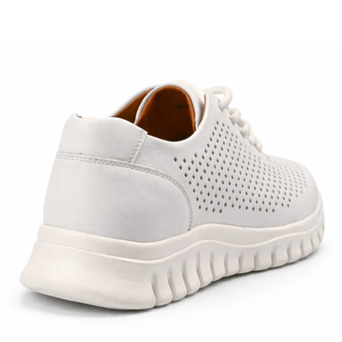 PASS COLLECTION Sneakers HD80004C