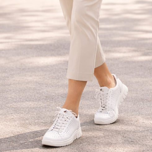 PASS COLLECTION Sneakers HD80004C