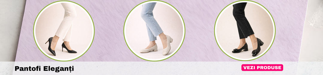 Pantofi eleganti dama 