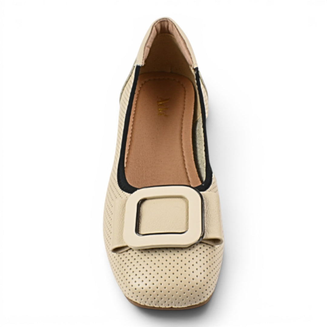 Pantofi Casual 1079-C