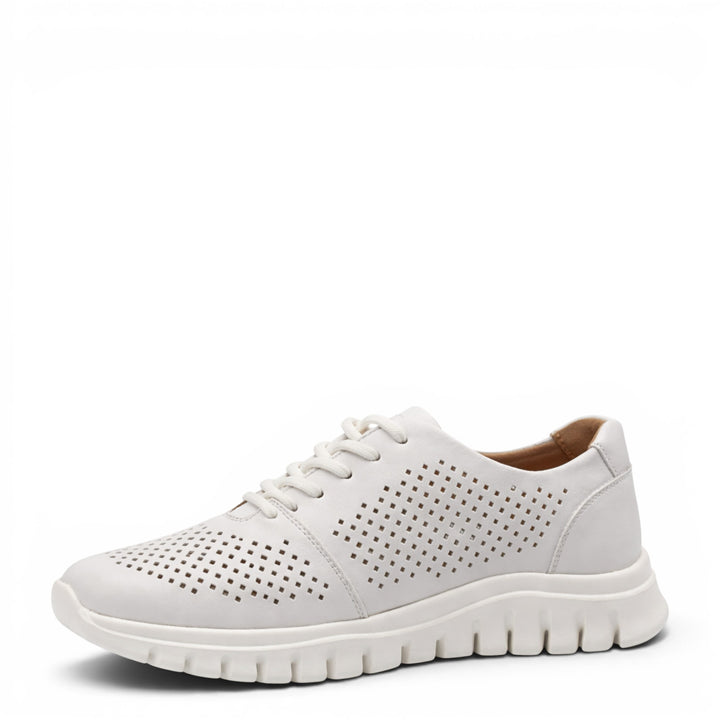 Pass Collection Sneakers HD80004C