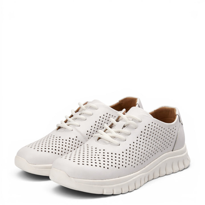 Pass Collection Sneakers HD80004C