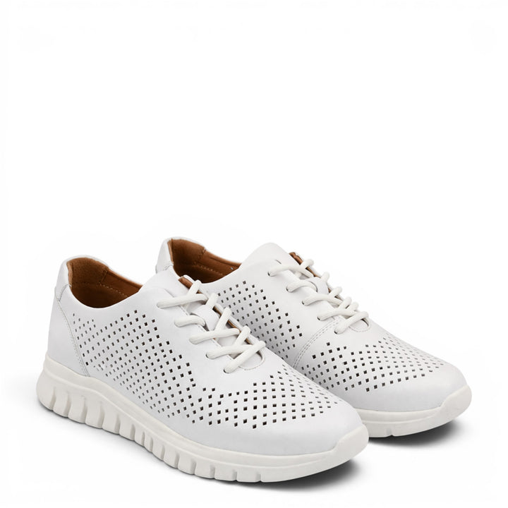 Pass Collection Sneakers HD80004C