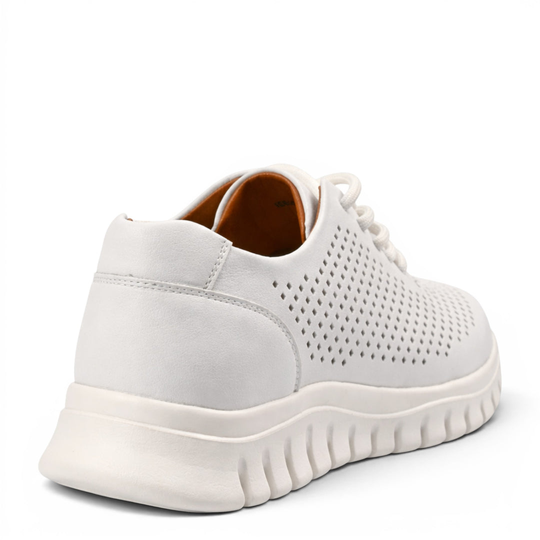 Pass Collection Sneakers HD80004C
