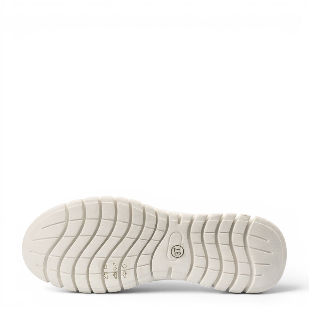 Pass Collection Sneakers HD80004C