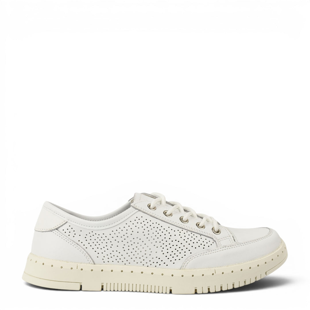 Gallop Pantofi Casual K251