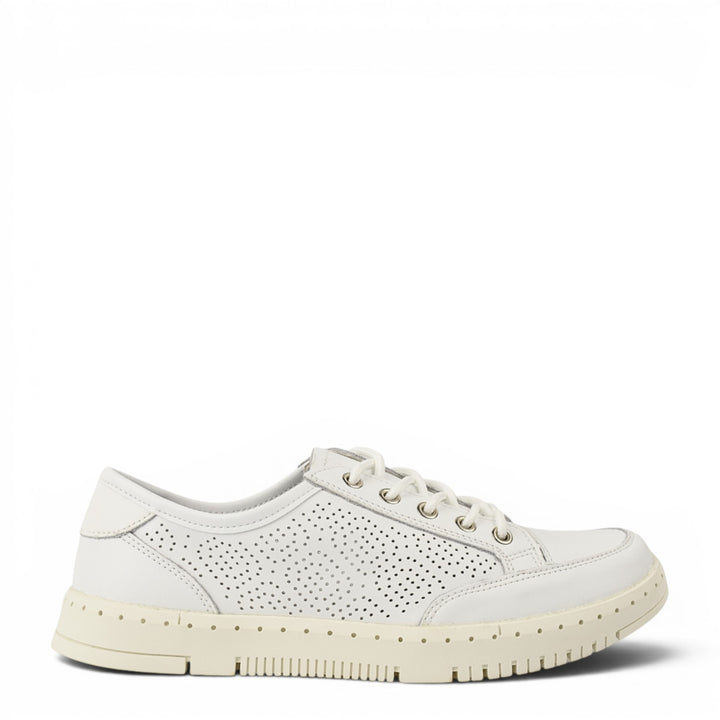 Gallop Pantofi Casual K251