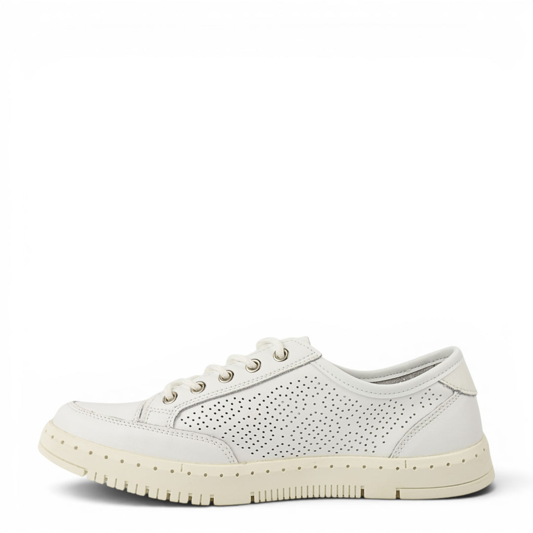 Gallop Pantofi Casual K251