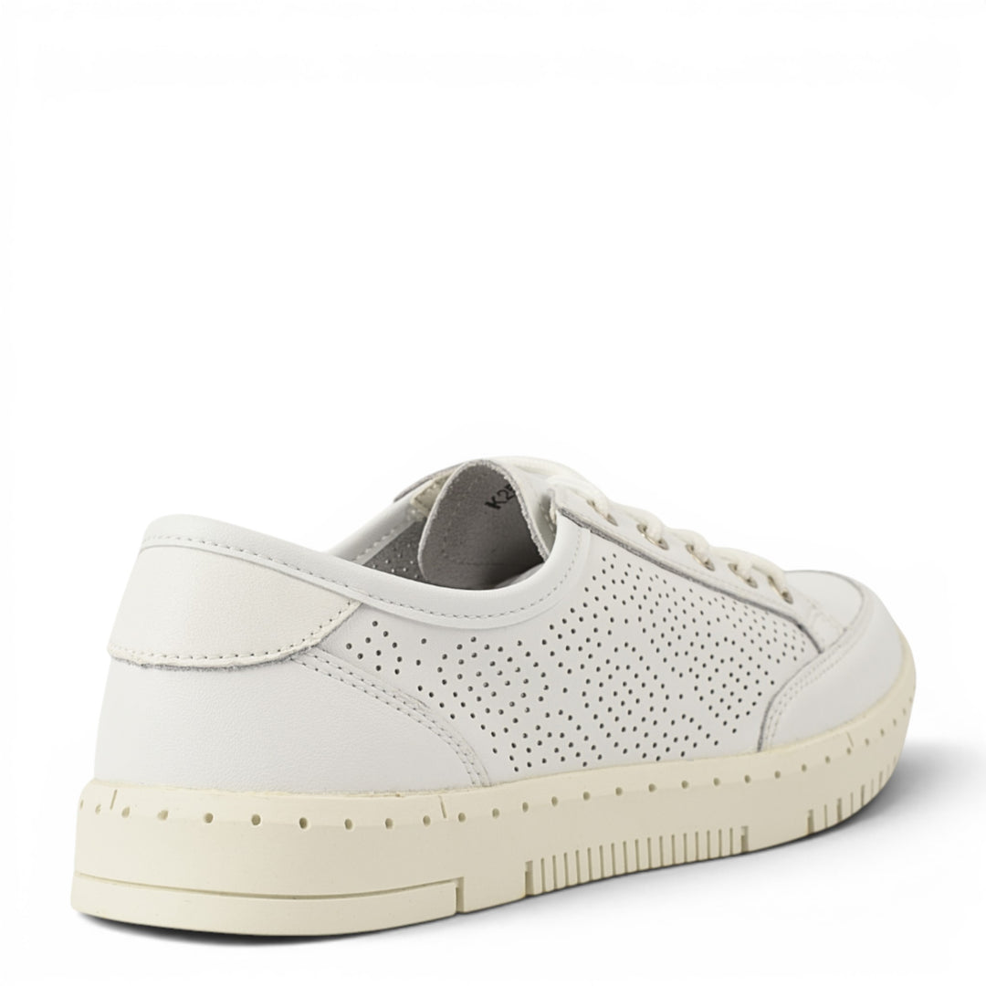 Gallop Pantofi Casual K251
