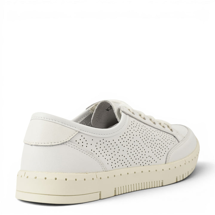 Gallop Pantofi Casual K251