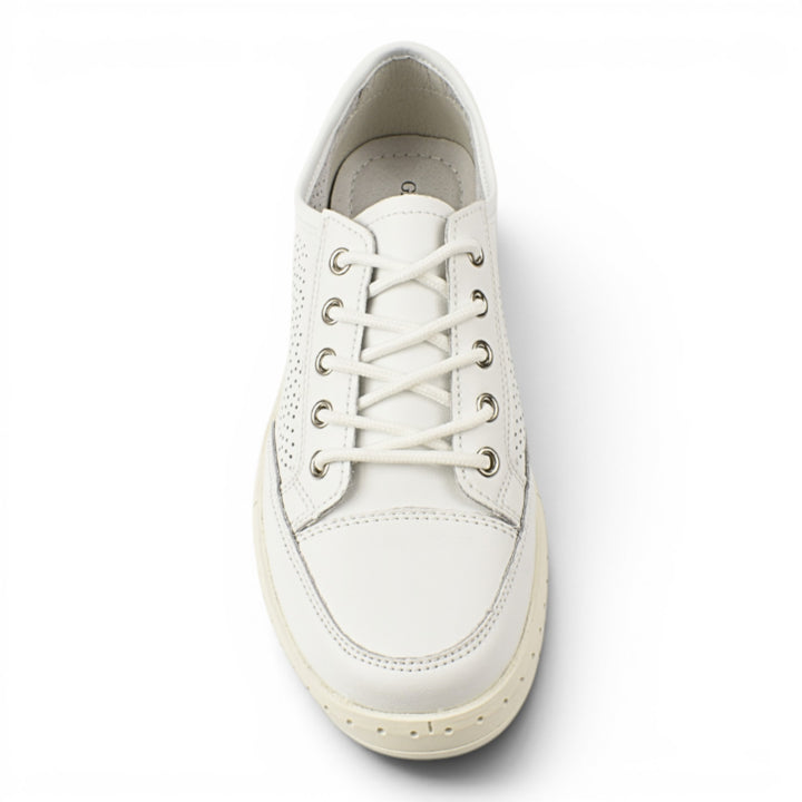 Gallop Pantofi Casual K251
