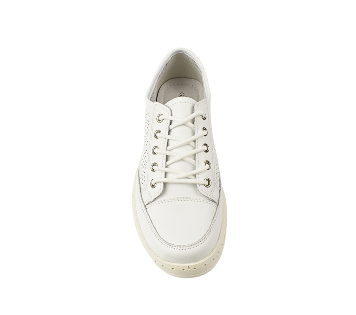 Gallop Pantofi Casual K251