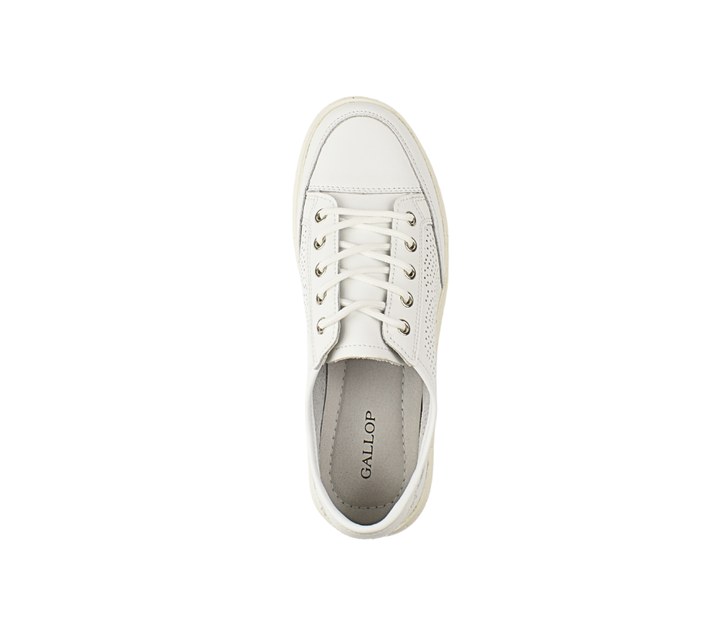 Gallop Pantofi Casual K251
