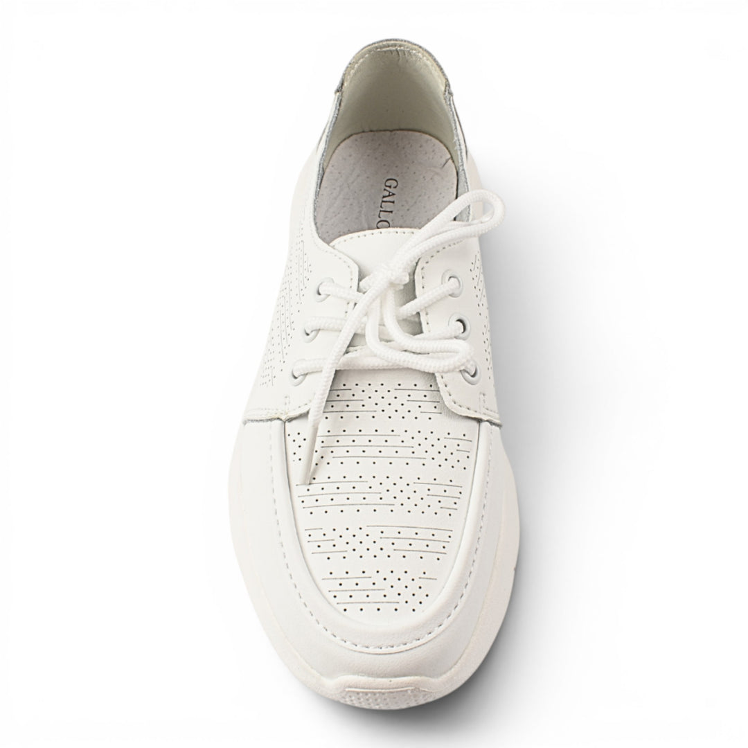 Gallop Pantofi Casual K98820