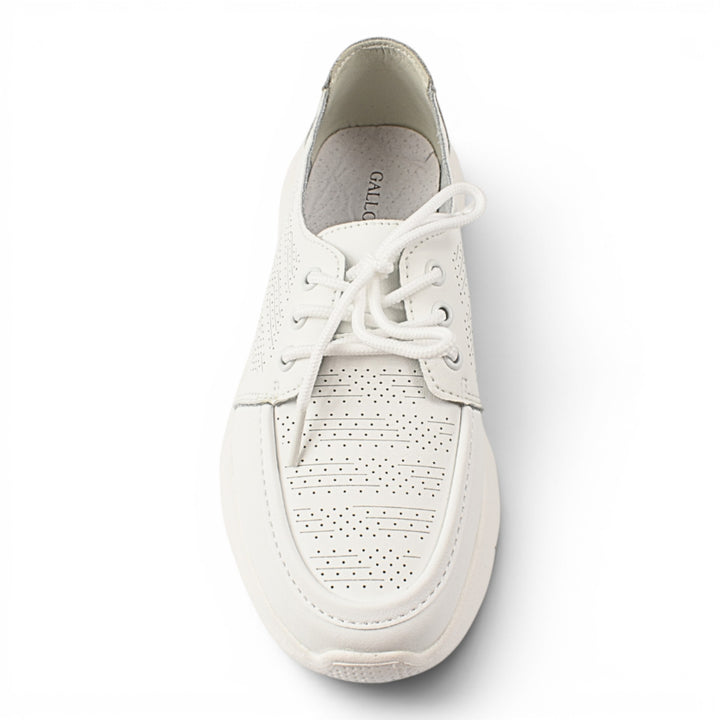 Gallop Pantofi Casual K98820