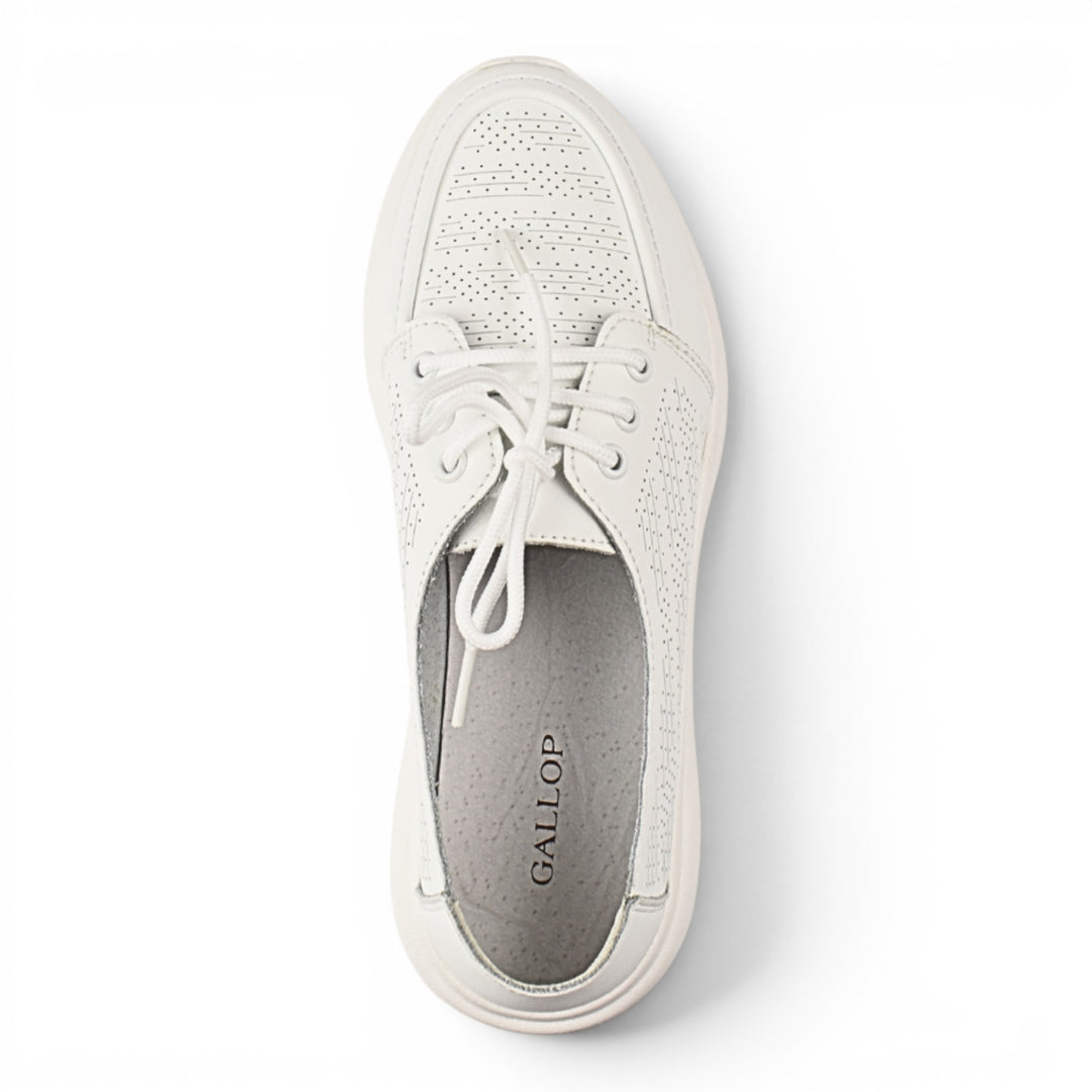 Gallop Pantofi Casual K98820