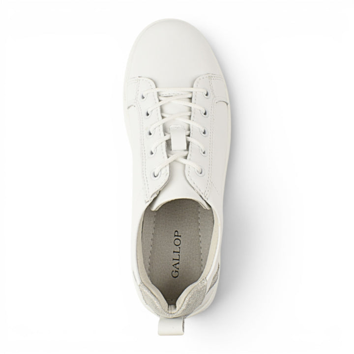 Gallop Pantofi Casual K243