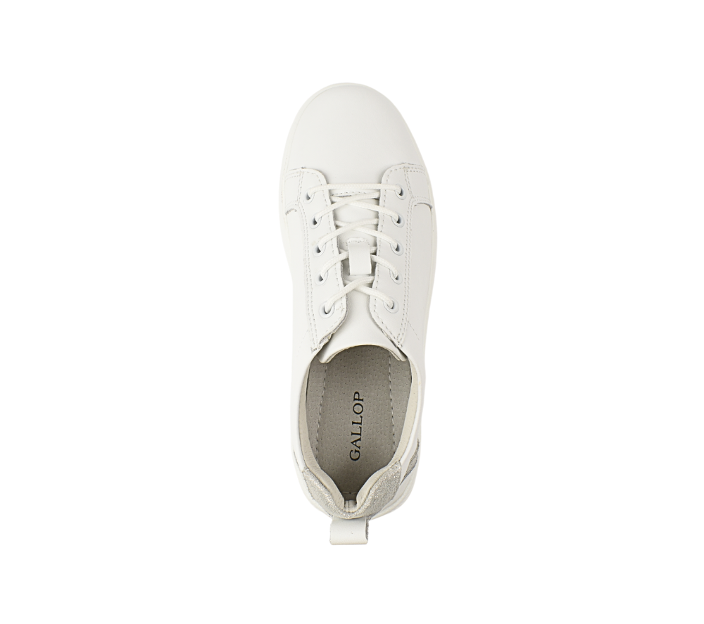 Gallop Pantofi Casual K243