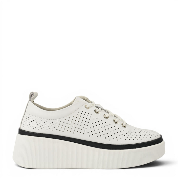 Gallop Pantofi Sport K244