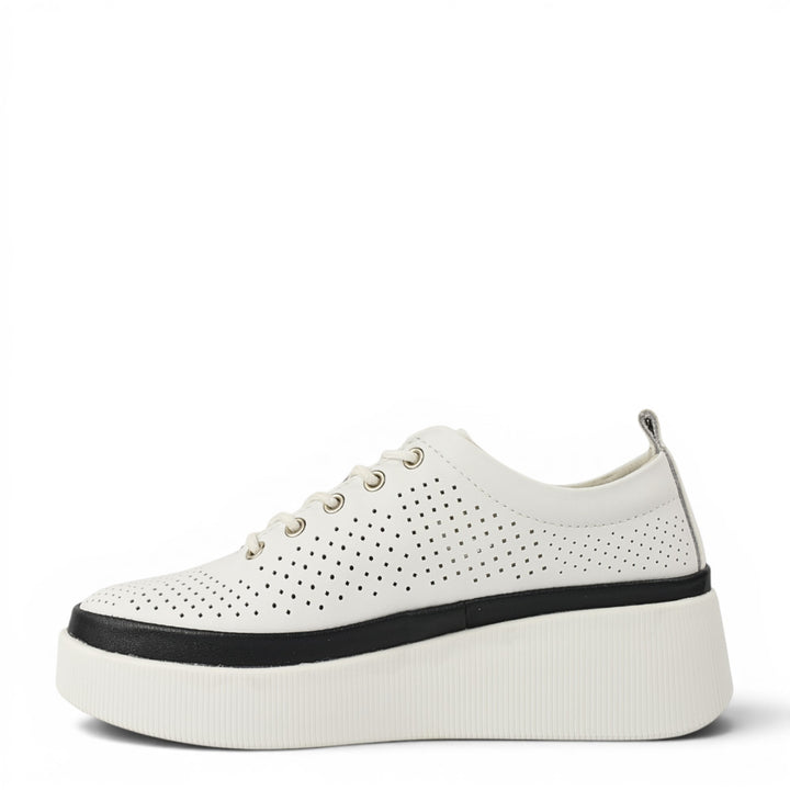 Gallop Pantofi Sport K244