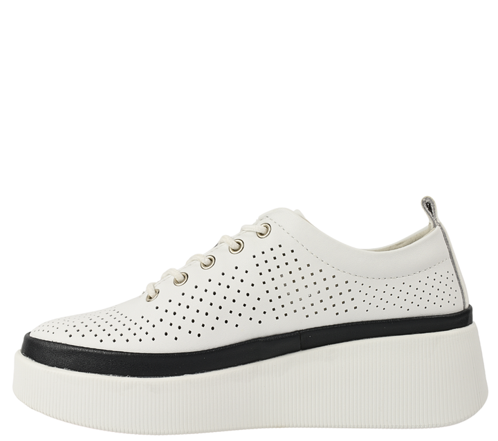 Gallop Pantofi Sport K244