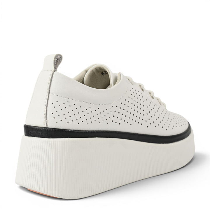 Gallop Pantofi Sport K244