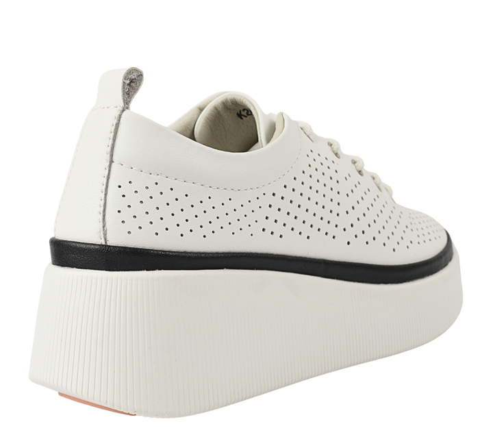 Gallop Pantofi Sport K244