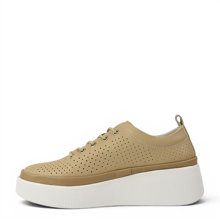 Gallop Pantofi Sport K244