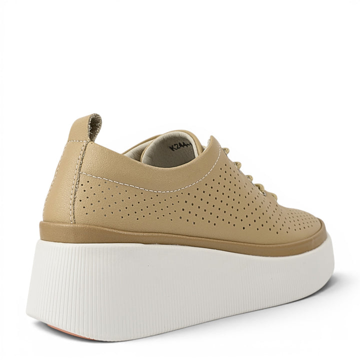 Gallop Pantofi Sport K244