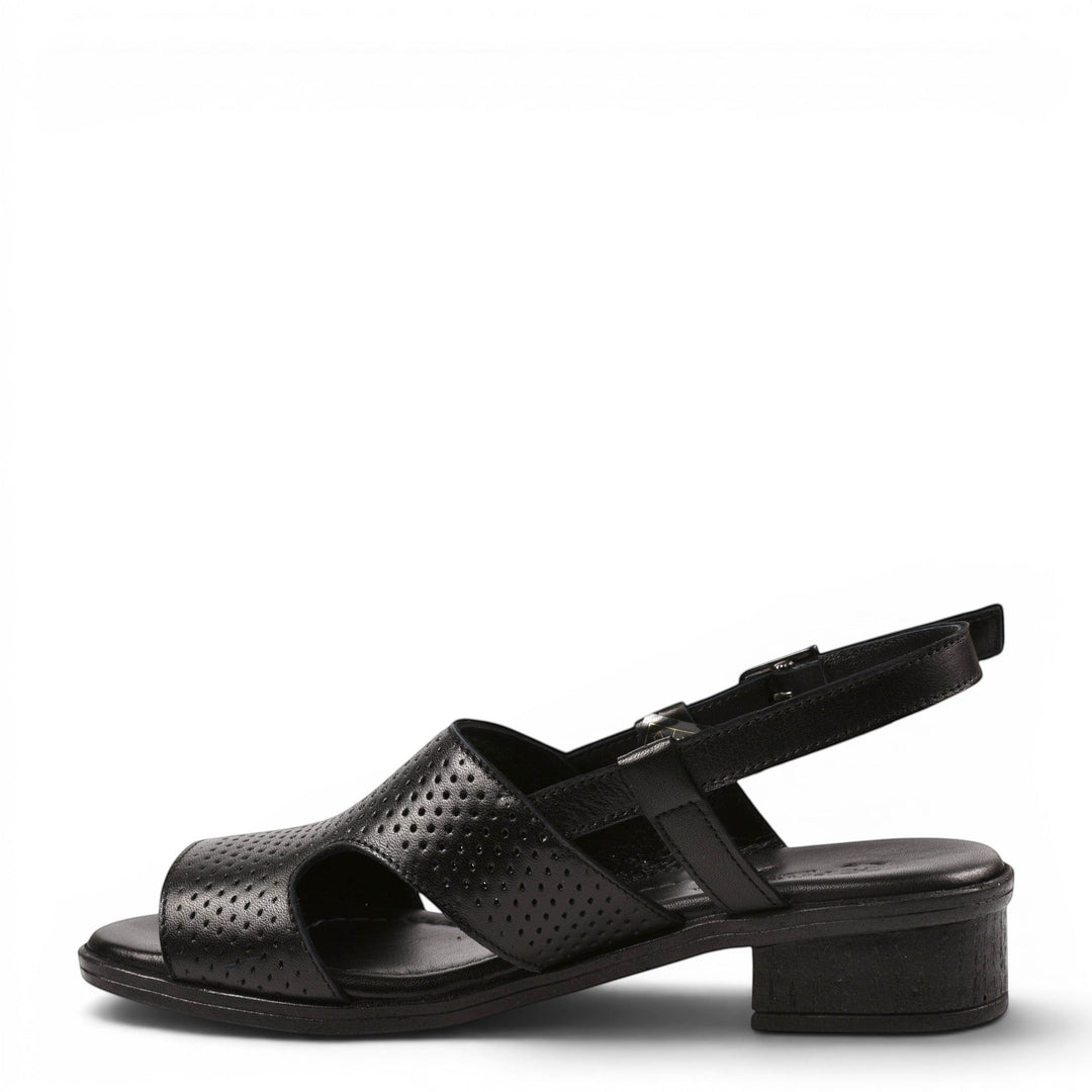 Anna Viotti Sandale Casual D42-6034-N